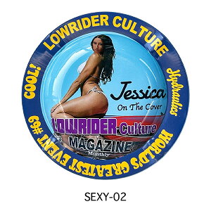 DM AbVgC AJ ZNV[ r[eB[ eB  傫 Ɨp  g e AJG AJG iObY i ^oR 킢  40 j