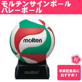 モルテン(Molten) サインボール バレーボール ITカラー (卒業記念品 記念 マスコットボール 寄せ書き) V1M500