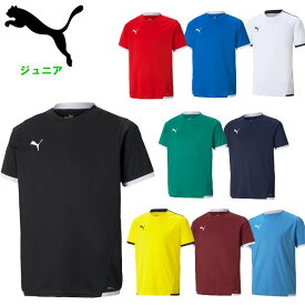 プーマ ジュニア サッカー ゲームシャツ (キッズサッカー フットサル 半袖 Tシャツ 運動 ランニング スポーツウェア トレーニングウェア PUMA) 705144