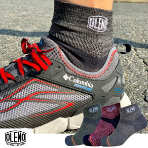 Im Y \bNX AeBbg SHR Eh (fB[X jp C jO }\ gCAX AEghA CCh~ X|[c ^ OLENO ) 22-02039