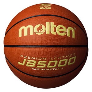 e oXPbg{[ JB5000yʁiy5j (wZ wp rMi[ g[jO ~joX molten) B5C5000L