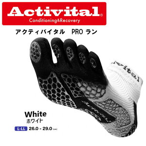 Activital PRO zCg L-LLTCY (ANeBoC^ v tbgT|[^[ T|[^[  P O C \bNX ~ Obv X|[c TbJ[ tbgT oh~g 