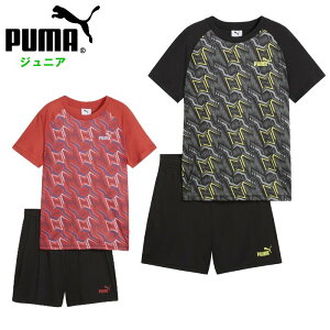 v[} WjA ㉺Zbg (LbY  TVc n[tpc ZbgAbv X|[cEFA i j̎q {[CY ubN bh PUMA ) 687812