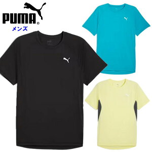 N[|LwԌP2{xv[} Y TVc ( Vc g[jOEFA jO ^ X|[c ubN u[ CG[  puma) 527238