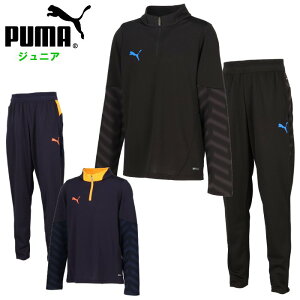 v[} WjA W[W ㉺Zbg(WPbg pc Opc X|[cEFA g[jOEFA q TbJ[ tbgT ZbgAbv ubN lCr[ PUMA ) 660495