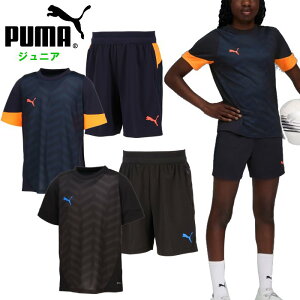 v[} WjA vNeBXVc+V[c ㉺Zbg (LbY  TVc n[tpc ZbgAbv TbJ[ tbgT X|[cEFA g[jOEFA j̎q {[CY PUMA 