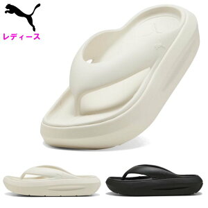 v[} fB[X T_ (Xbp   t@bV  AEghA v[ ubN  zCg  PUMA ) 400498