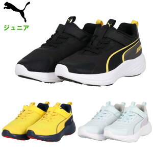 v[} WjA jOV[Y Xs[hX^[V5 (^C w LbY qǂ g[jO X|[c CG[ ubN PUMA ) 309935