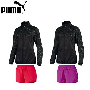 v[} NIGHT CAT WPbgpc ㉺Zbg (fB[X jO g[jO EFA PUMA ) 514410-514411