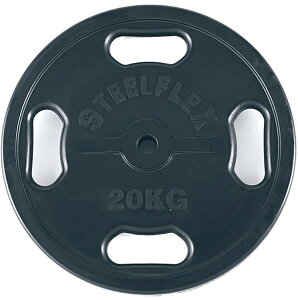 エバニュー 28ラバープレート20kg (バーベル 筋トレ トレーニング 筋トレグッズ ベンチプレス ウエイトトレーニング EVERNEW) ETB833