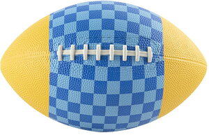 Goj[ \tgOr[{[ (̂^ qǂ w wZ NG[V 񑡕i wZ̈@ EVERNEW) EKD440