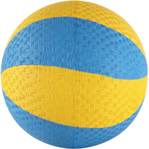 Goj[ 炩o[{[ (̂^ qǂ w wZ NG[V 񑡕i wZ̈@ EVERNEW) EKD446