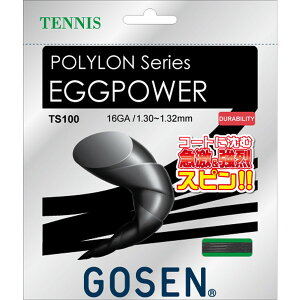 wȃN[|zzx S[Z GbOp[ 16 ubN (ejXKbg dejX XgO GOSEN) TS100BK