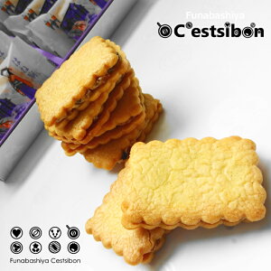 ZV{-C'estsibon-o^[Th-12 ͂ˋ Ăَq lߍ킹 t[cTh o^[N[Th [YTh o^[N[ hCt[c NHK Aer yΉ 