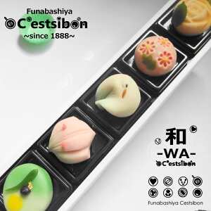 セシボン-C'estsibon-和-WA-「彩」上生菓子5個入 秋のお彼岸 ハロウィン 十五夜 秋ギフト 七五三 いい夫婦の日 お歳暮 お年賀 ご挨拶 お返し 生菓子 和菓子 練り切り お菓子 お祝い 内祝い 初節句