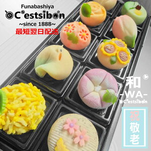 ZV{-C'estsibon-a-WA-uʁv㐶َq10 hV̓ ܂Ԃɍ xĂ߂  Ε 䋟 䕧O A Ԃ َq aَq َq j j ؂ v[g 