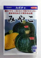 【サカタのタネ】みやこカボチャ　100粒