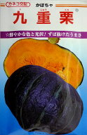 【カネコ種苗】九重栗カボチャ　100粒
