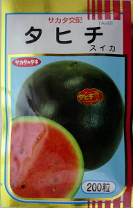 yTJ^̃^lz^q`Z@200