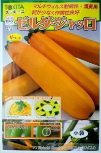 ygL^cz[^EWb YbL[j@10