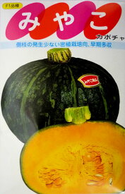 楽天市場 みやこかぼちゃ 種の通販 楽天市場 みやこかぼちゃ 種の通販