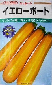ズッキーニ 苗の通販 価格比較 価格 Com