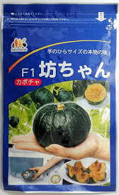 【みかど協和】坊ちゃんカボチャ　500粒　　登録品種名：くり坊