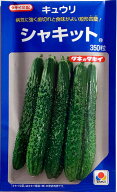 限定4袋【タキイ種苗】シャキットキュウリ　350粒