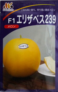 y݂ǋã^lzGUxX239@100