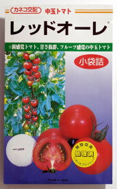 【カネコ種苗】レッドオーレ中玉トマト　13粒