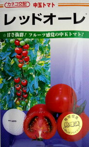 yJlRczbhI[ʃg}g@1000