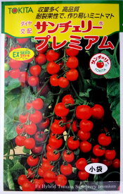 【トキタ種苗】サンチェリープレミアムミニトマト　15粒