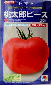【タキイ種苗】桃太郎ピーストマト　1000粒農林水産省登録品種（品種名：TTM076）