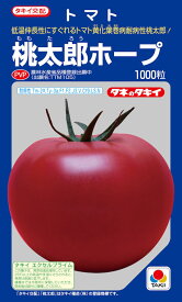 【タキイ種苗】桃太郎ホープトマト　1000粒農林水産省登録品種（品種名：TTM105）