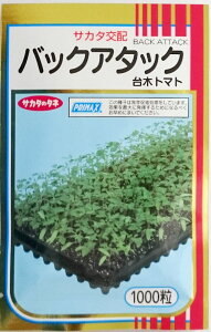 yTJ^̃^lz؃g}g@obNA^bN@1000