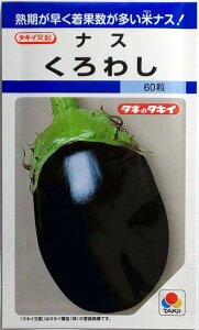 y^LCcz킵iX@60