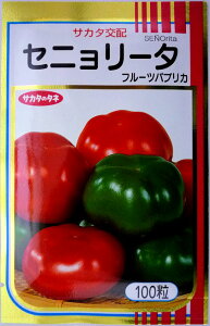 yTJ^̃^lzt[cpvJ@Zj[^ibhj100