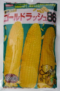 �y�T�J�^�̃^�l�z�S�[���h���b�V��86�@2000��