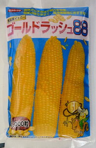 �y�T�J�^�̃^�l�z�S�[���h���b�V��88�@2000��