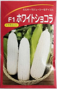 �y���B���������݂��ǁz�z���C�g�V���R���@200��