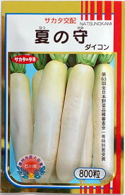 【サカタのタネ】夏の守大根 800粒