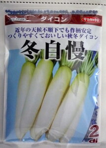 yTJ^̃^lz~卪@2dl