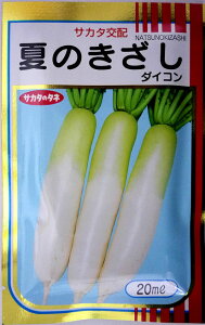 yTJ^̃^lzĂ̂卪@20ml