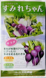 楽天市場 すみれ 種の通販