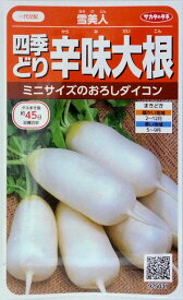 楽天市場 雪美人の通販 楽天市場 雪美人の通販