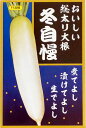【サカタのタネ】冬自慢大根　20ml