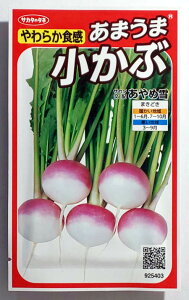 【サカタのタネ】あやめ雪かぶ 小袋(3ml)