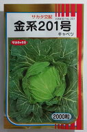 【サカタのタネ】金系201号キャベツ　2000粒　
