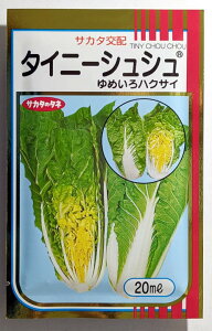 yTJ^̃^lz^Cj[VV؁@20ml