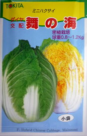 【トキタ種苗】舞の海白菜　2ml　